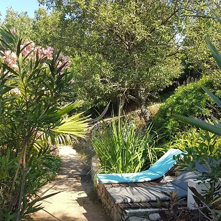 Apartment Sorbier Corbara